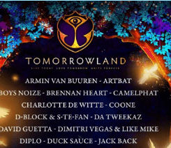 Ritorna il tomorrowland per capodanno con oltre 20 dj, tra cui David Guetta e Lost Frequencies